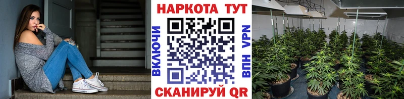 Купить закладку ГАШ  Конопля  Кокаин  Героин  Меф мяу мяу  Андреаполь